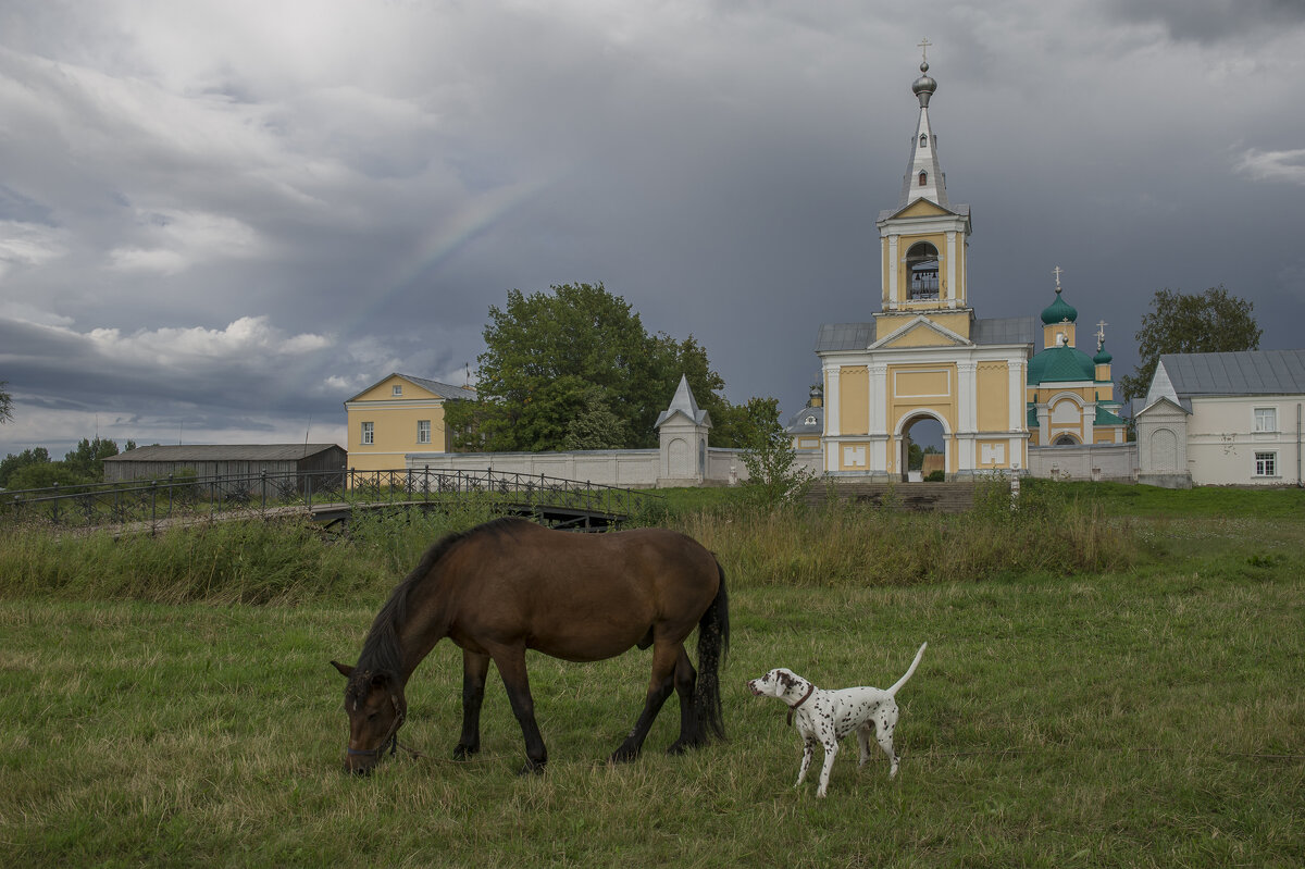 Спокойствие - Николай Андреев