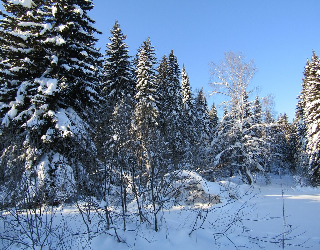 Зимний пейзаж - Galaelina *** Зимний пейзаж - Galaelina ***