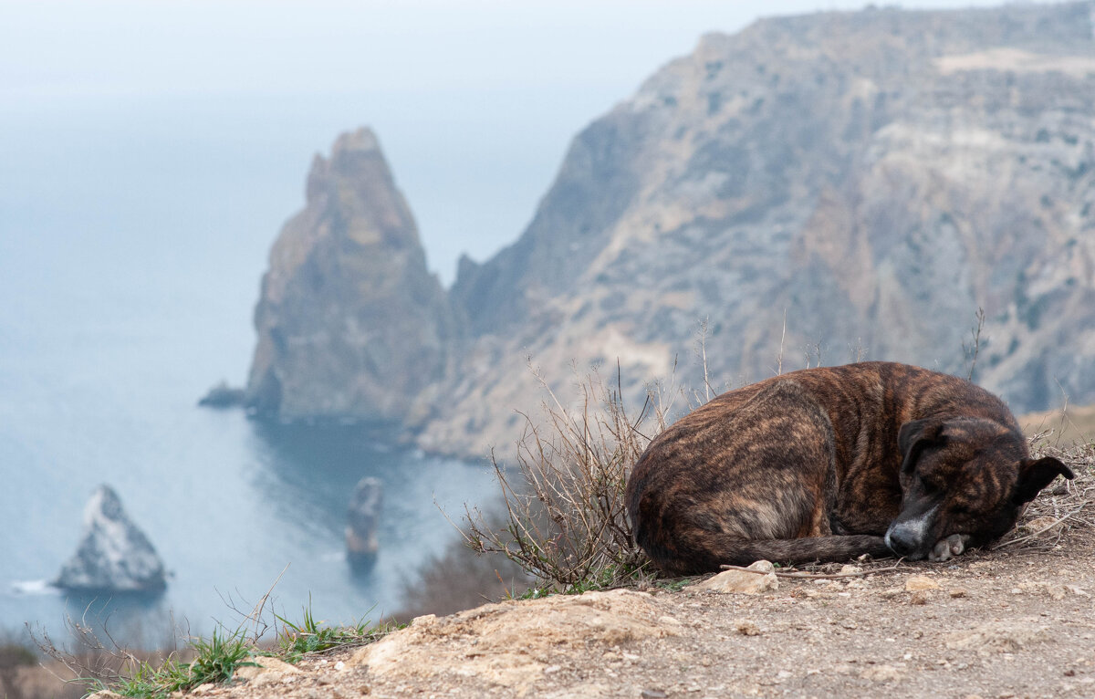 1 - Матвей Журбин 1 - Матвей Журбин