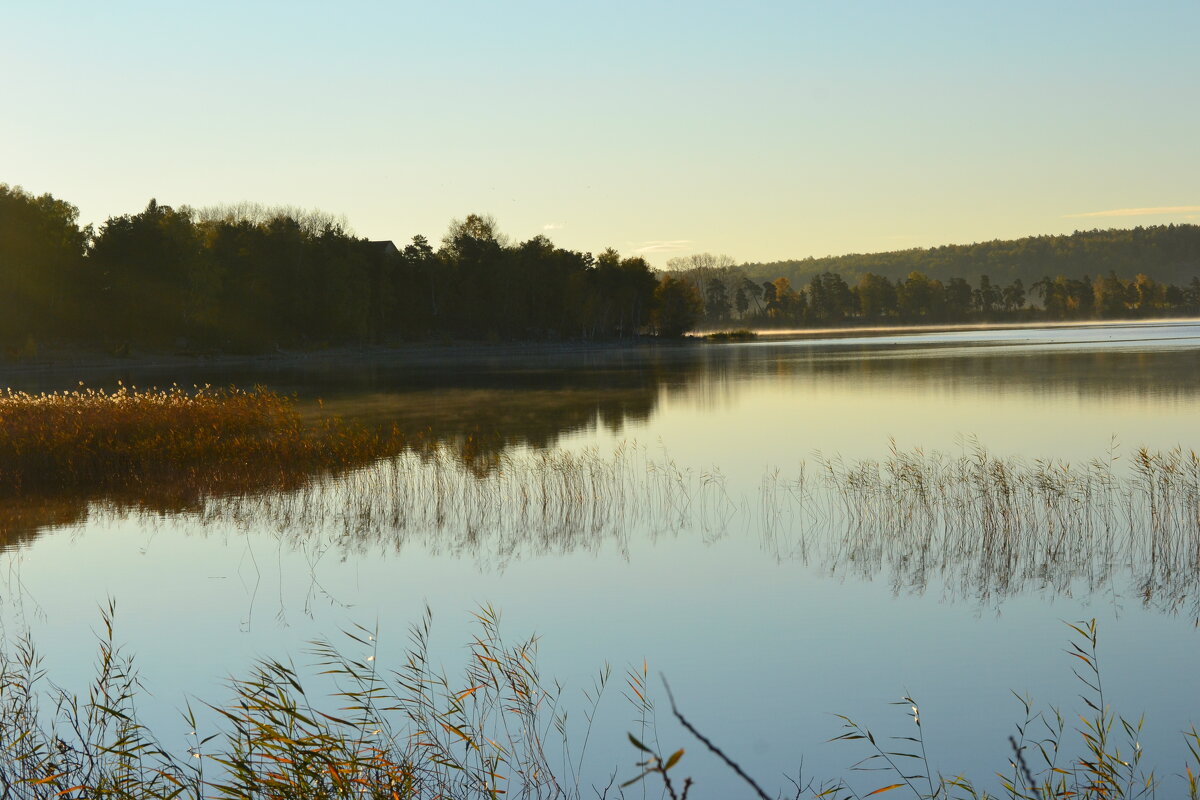 Туман над водой - Андрей Хлопонин