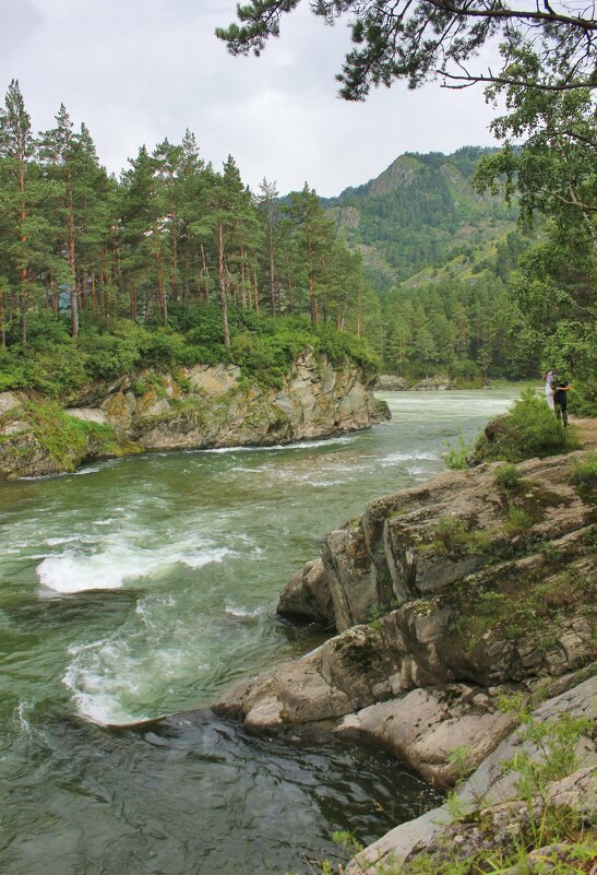 Река Чемал - Владимир Соколов (svladmir)