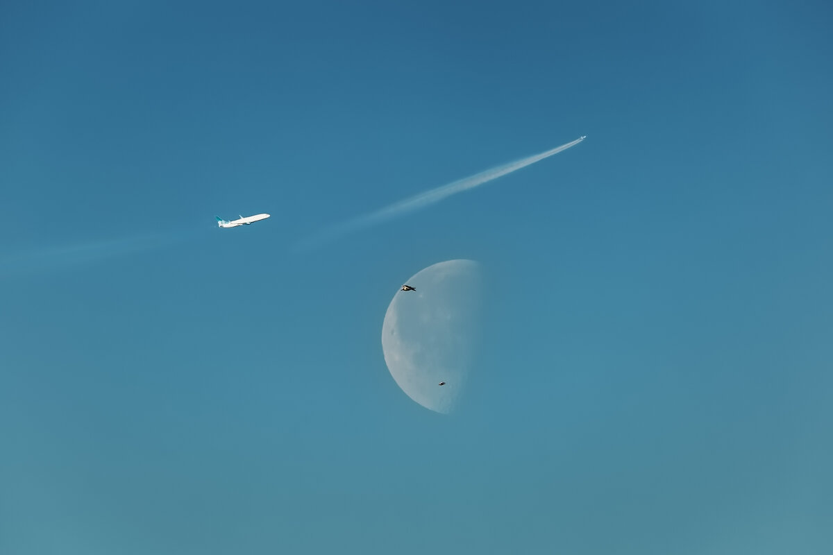 Небо над Питером - Владимир Колесников