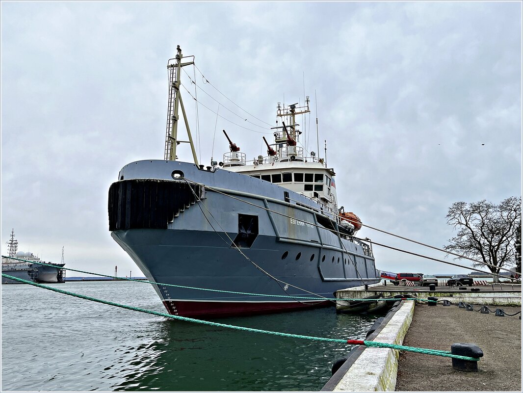 **** - Валерия Комова **** - Валерия Комова