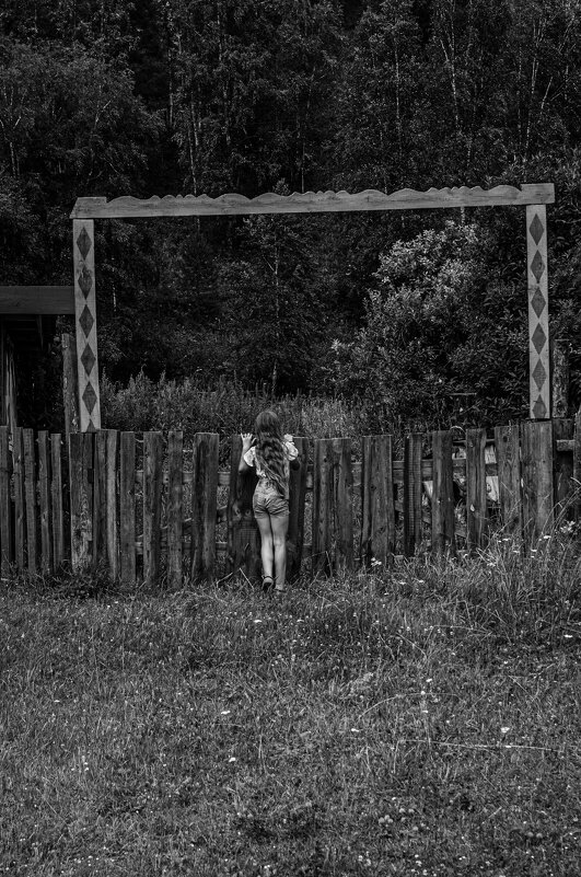 *** - Елена Берсенёва