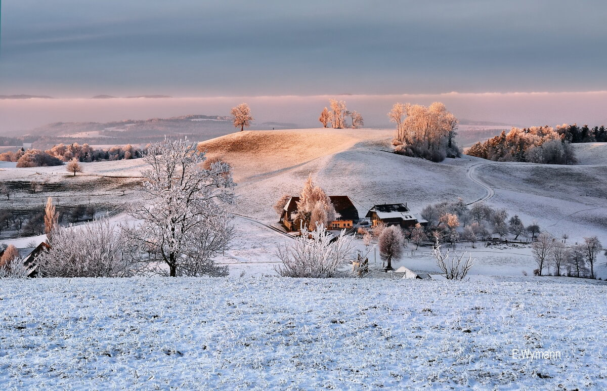 winter evening - Elena Wymann