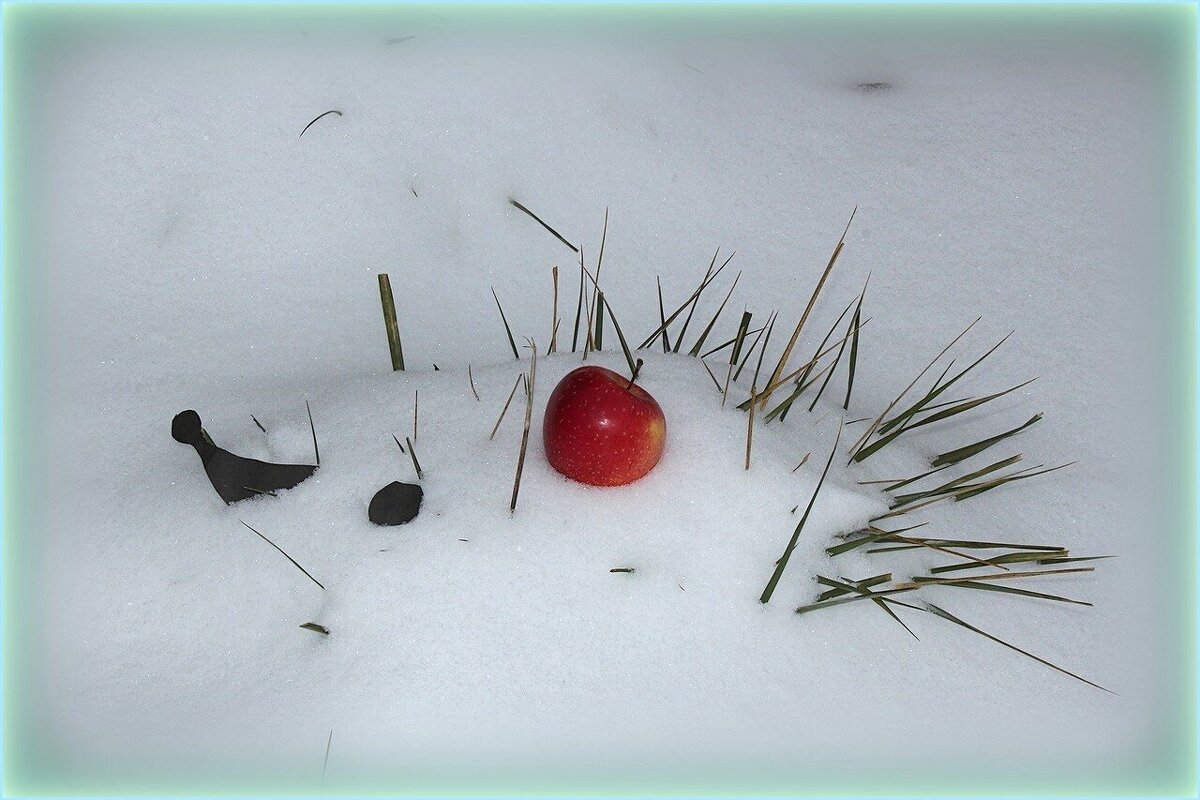 *** - kentiya *** - kentiya