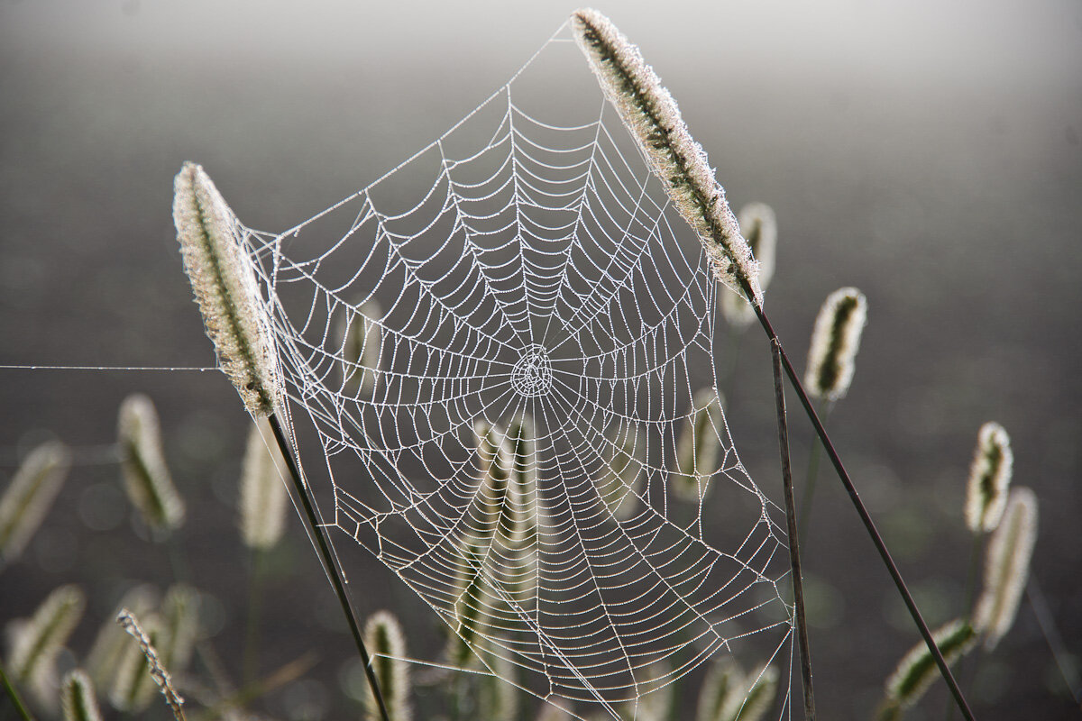 . - Александр Крупский