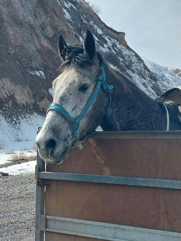 Almaty. - Murat Bukaev 