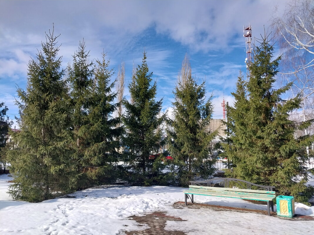 Пейзаж в городском парке - Tarka 