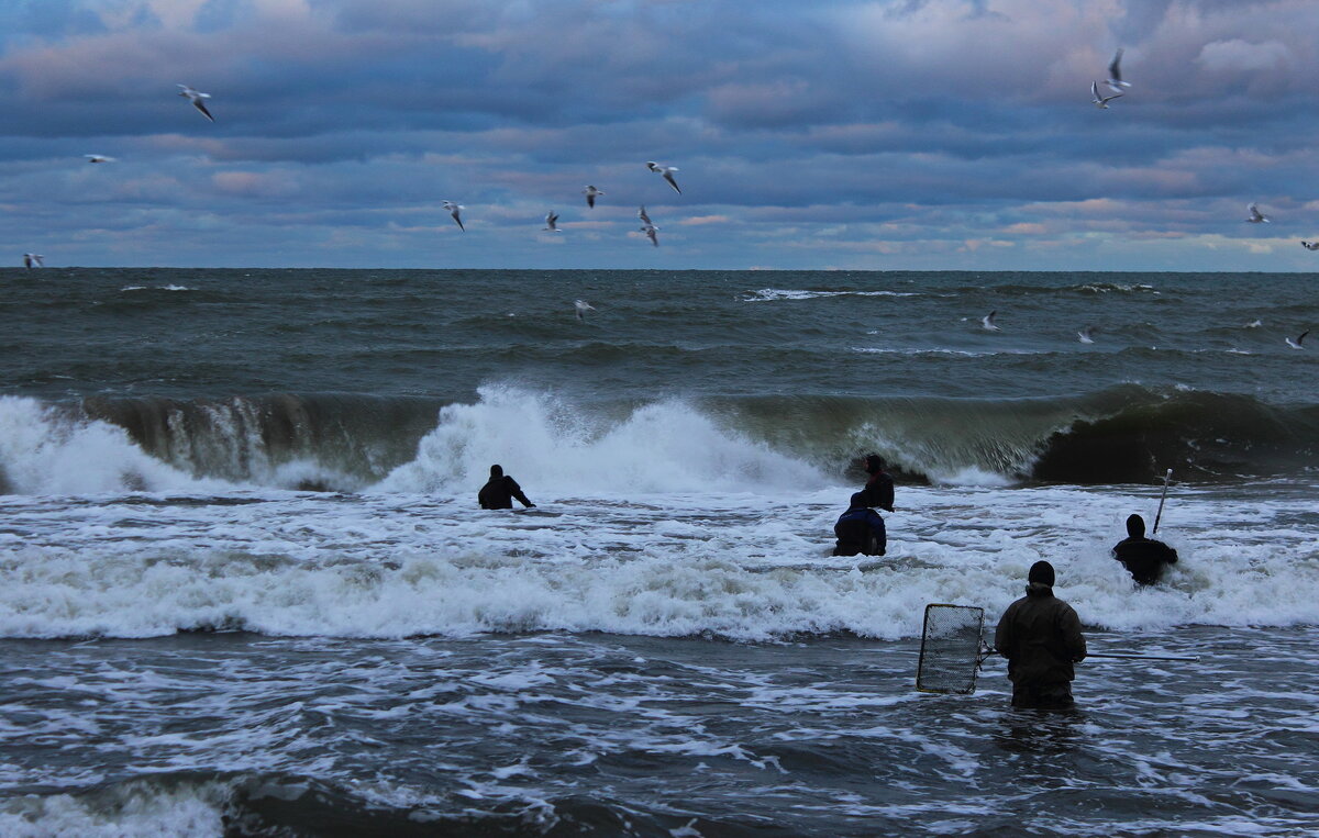 Ловцы янтаря - Августина Ловцы янтаря - Августина