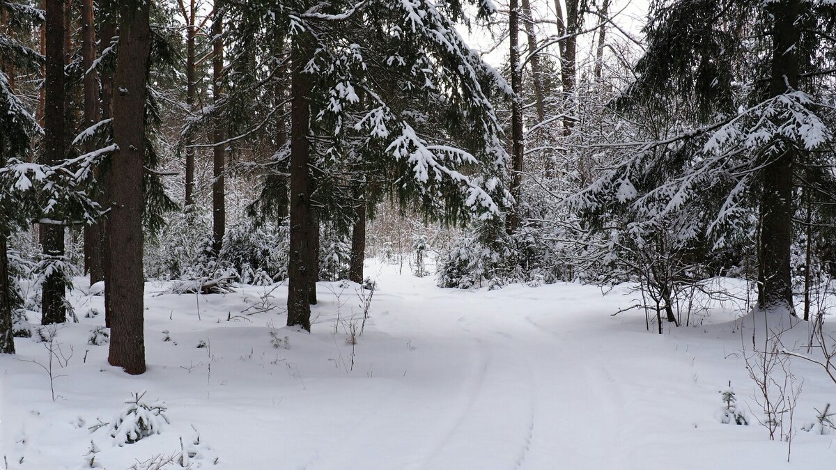 Начало весны на Смоленщине. - Милешкин Владимир Алексеевич Начало весны на Смоленщине. - Милешкин Владимир Алексеевич