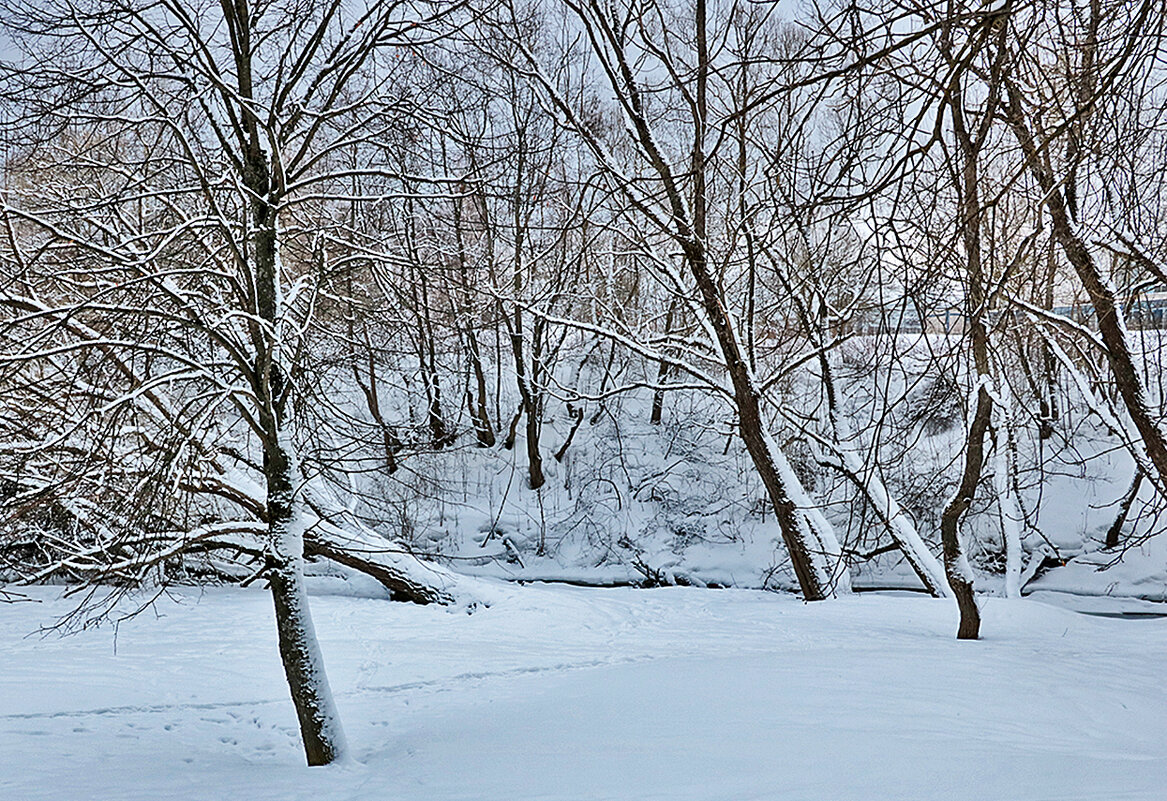 Мартовский пейзаж - Светлана 