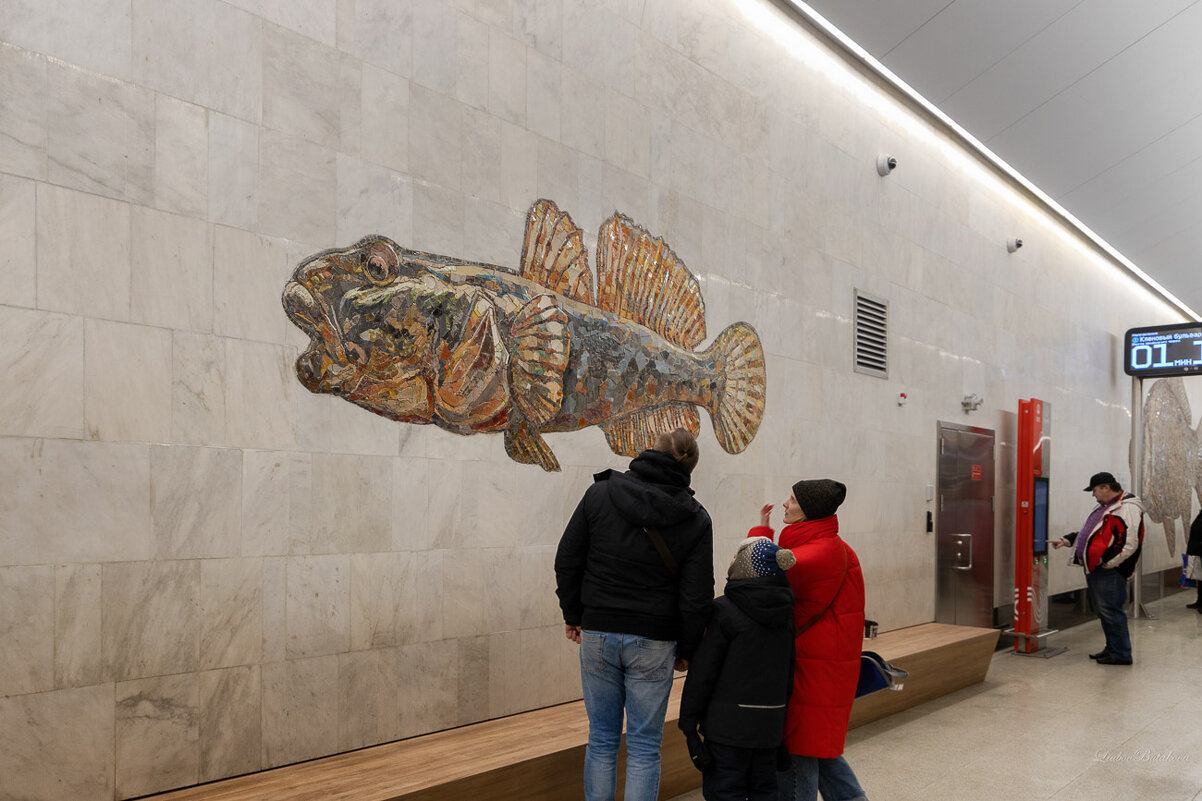 Метро в Москве - Любовь Бутакова