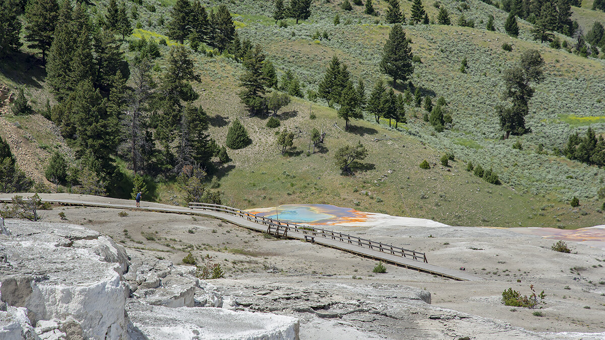 Mammoth Hot Springs - Petr @+