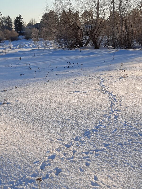 На рассвете дня - Галина Минчук На рассвете дня - Галина Минчук