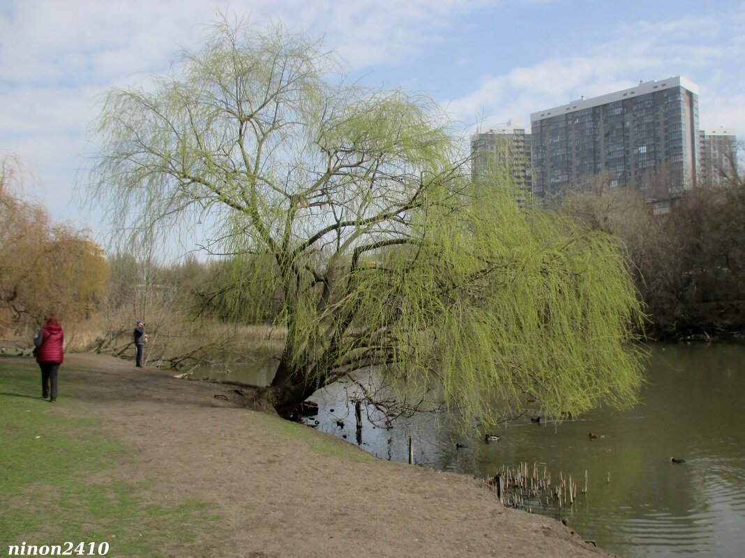 Март - Нина Бутко