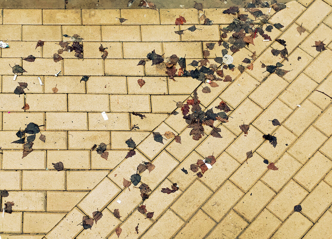 Прошлогодние - Валерий Иванович Прошлогодние - Валерий Иванович