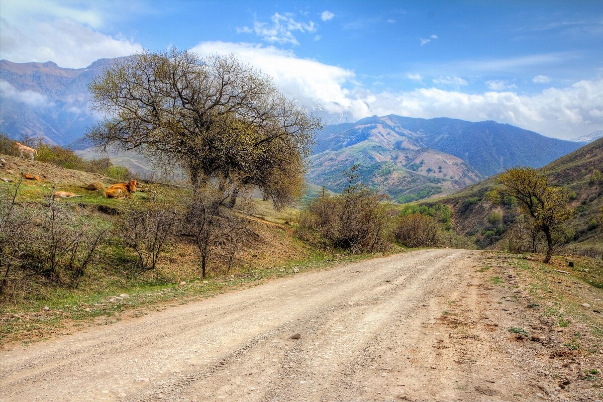 Путешествие по Кавказу - Константин 