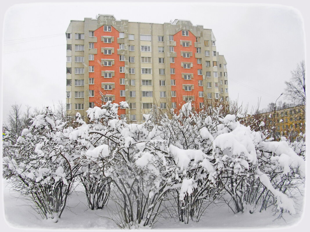 Сегодня снова снегопад... - Лия ☼