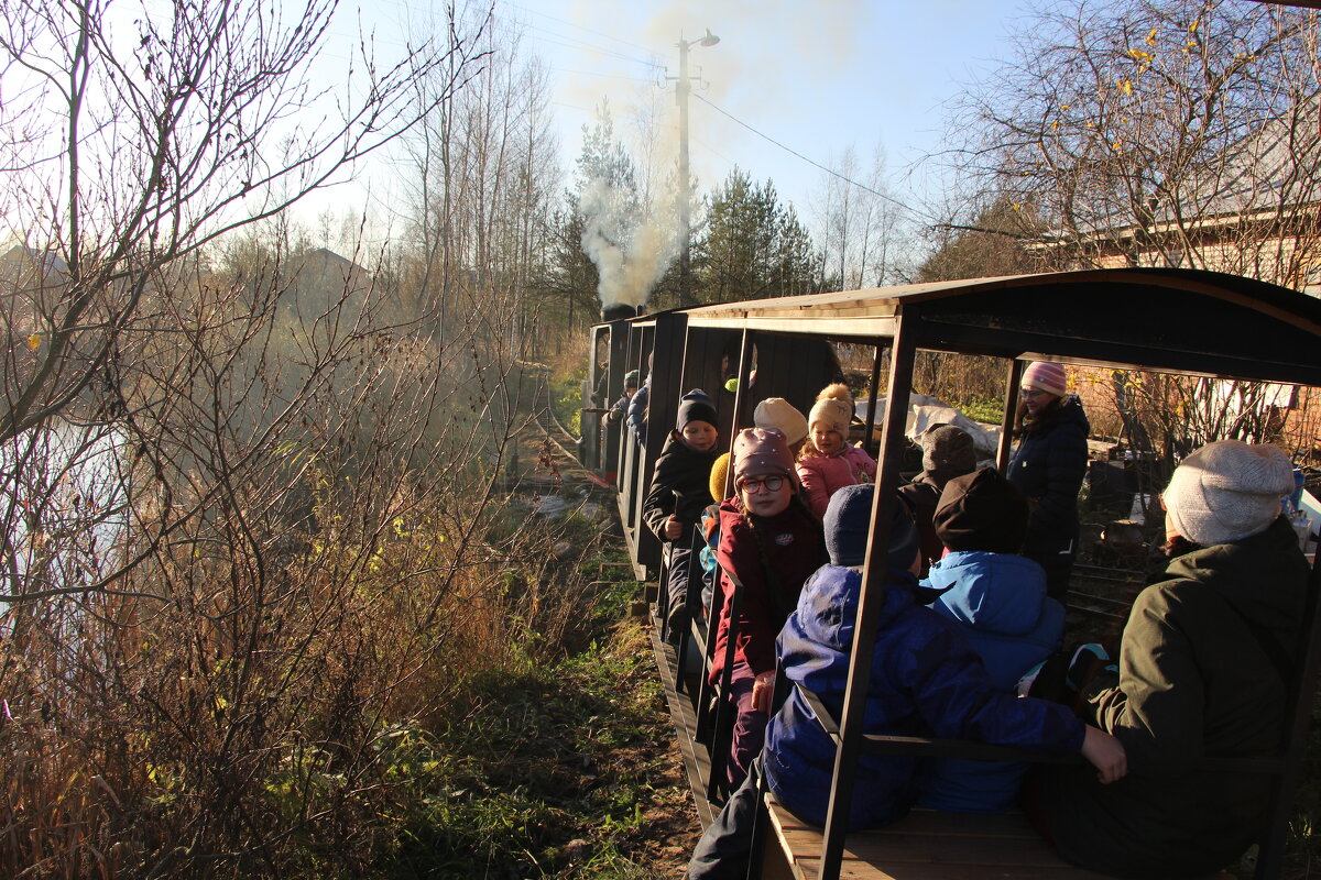 Железная дорога на дачном участке. Дети в восторге! - Сергей Малахов Железная дорога на дачном участке. Дети в восторге! - Сергей Малахов