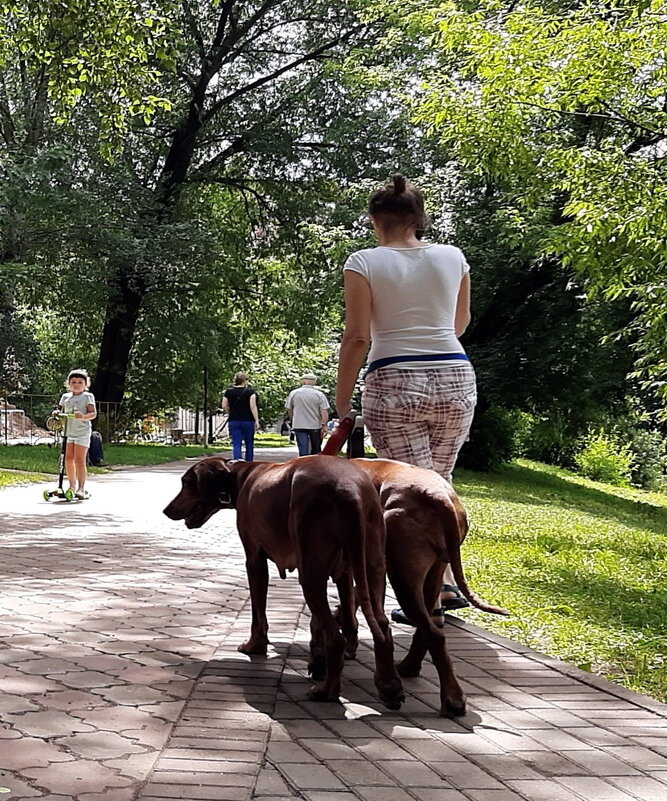 *** - Владимир Захаров