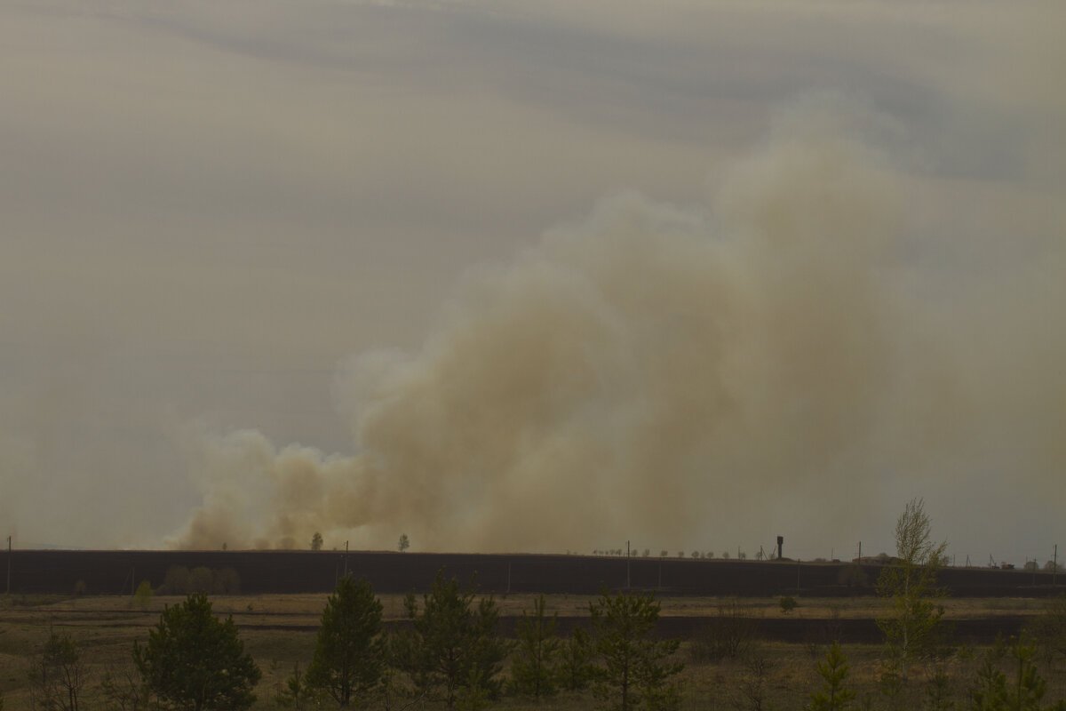 Апрельские возгорания - Олег Денисов