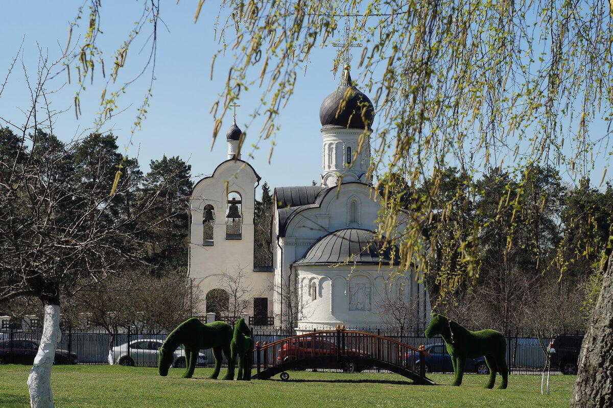 Переделкино,апрель - Ninell Nikitina