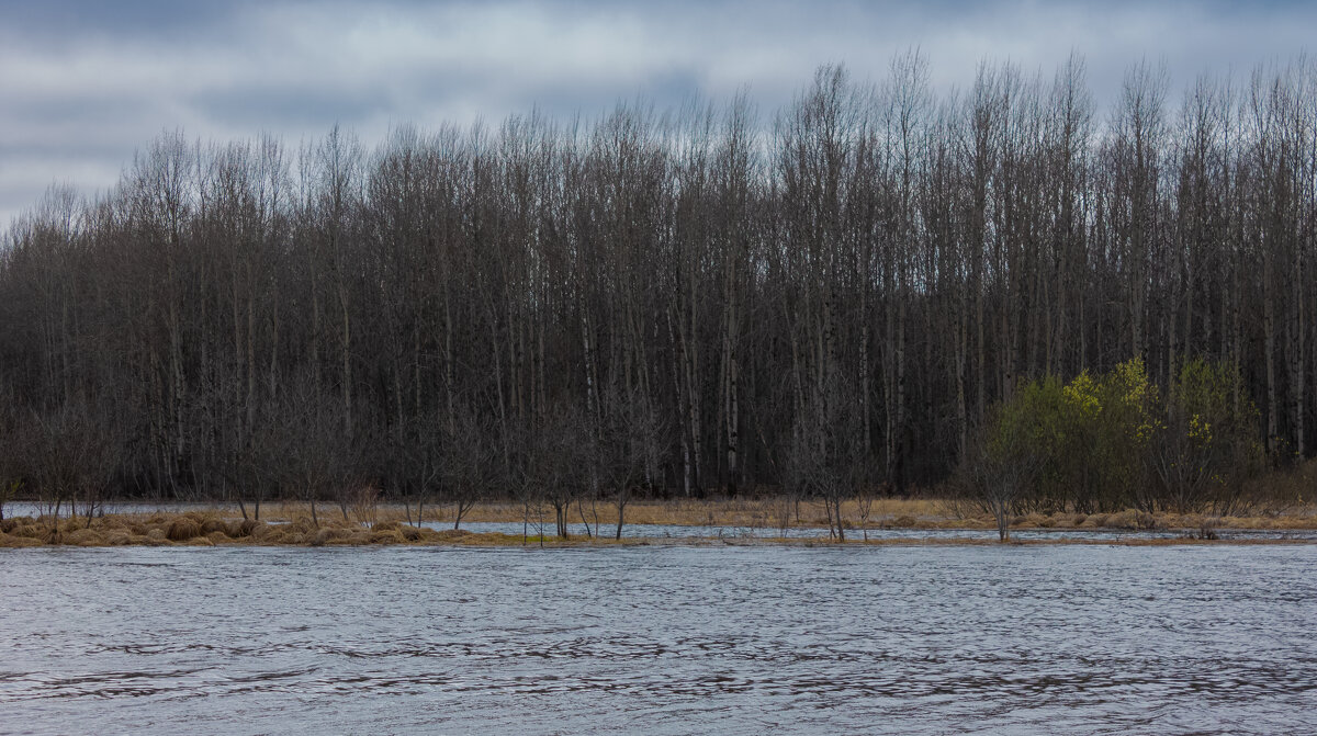 Near the forest river Bolshoy-Puchkas on a cloudy day - Sergey Sonvar