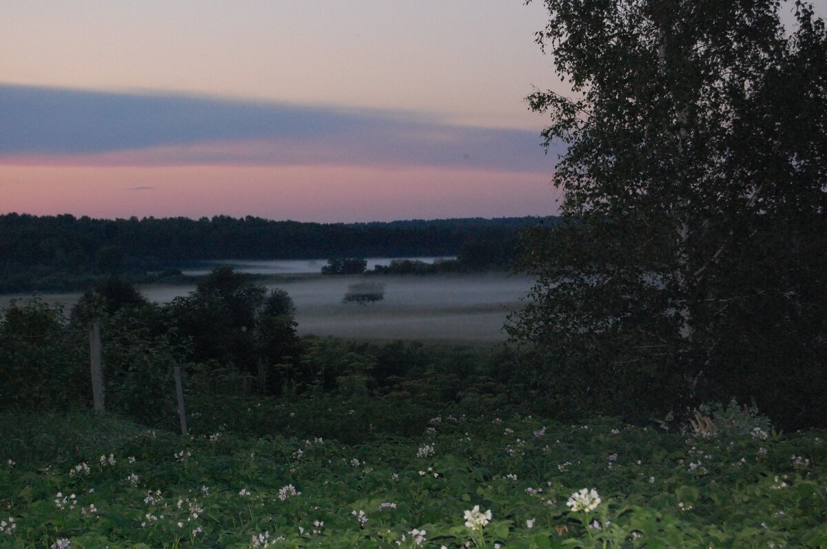 Тихий вечер - Надежда Тихий вечер - Надежда