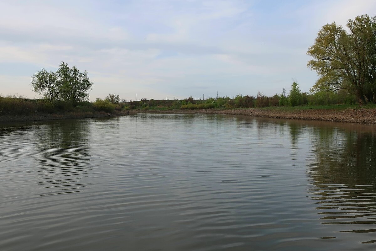 *** - kentiya *** - kentiya