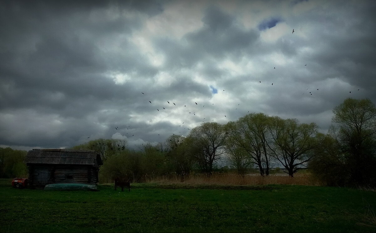 За околицей... - Владимир Шошин За околицей... - Владимир Шошин