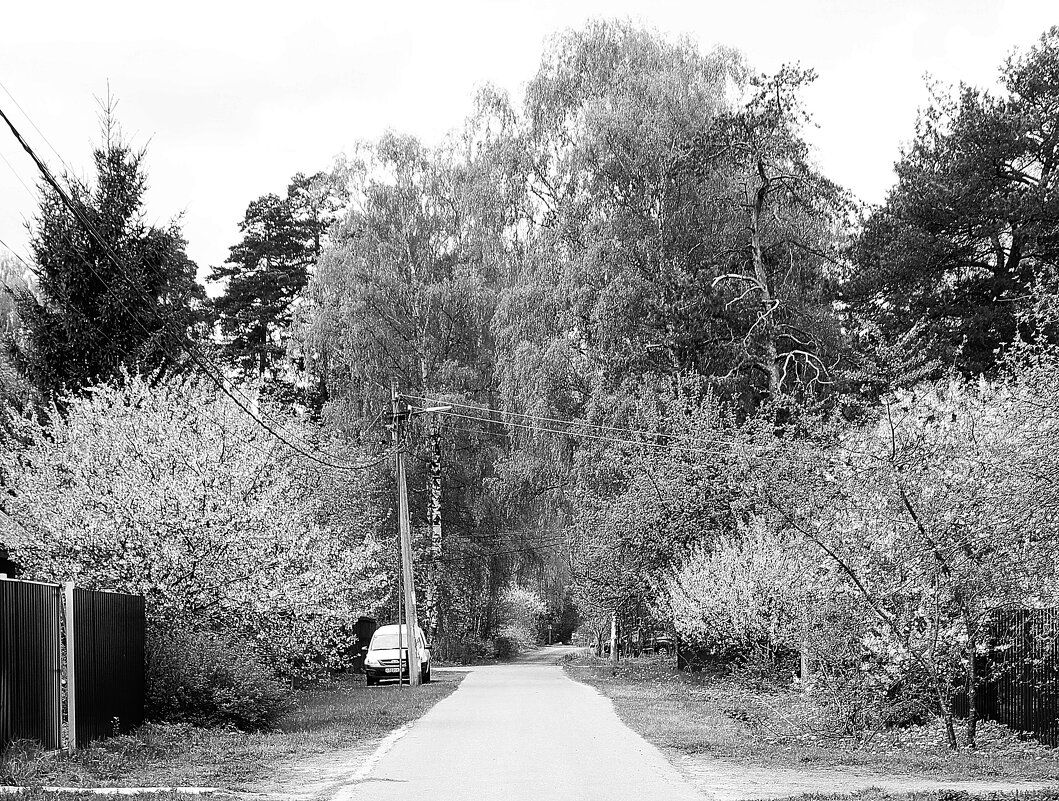 Эксперимент (программа фотоаппарата) - Леонид leo Эксперимент (программа фотоаппарата) - Леонид leo