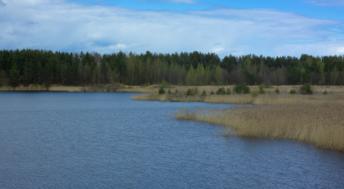 Small quarry near the forest in May | 3 - Sergey Sonvar