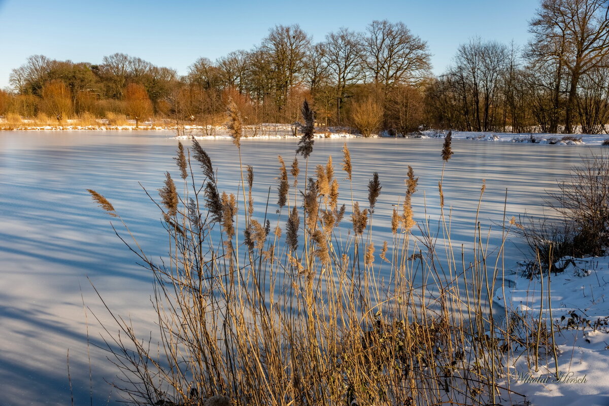 *** - Николай Гирш