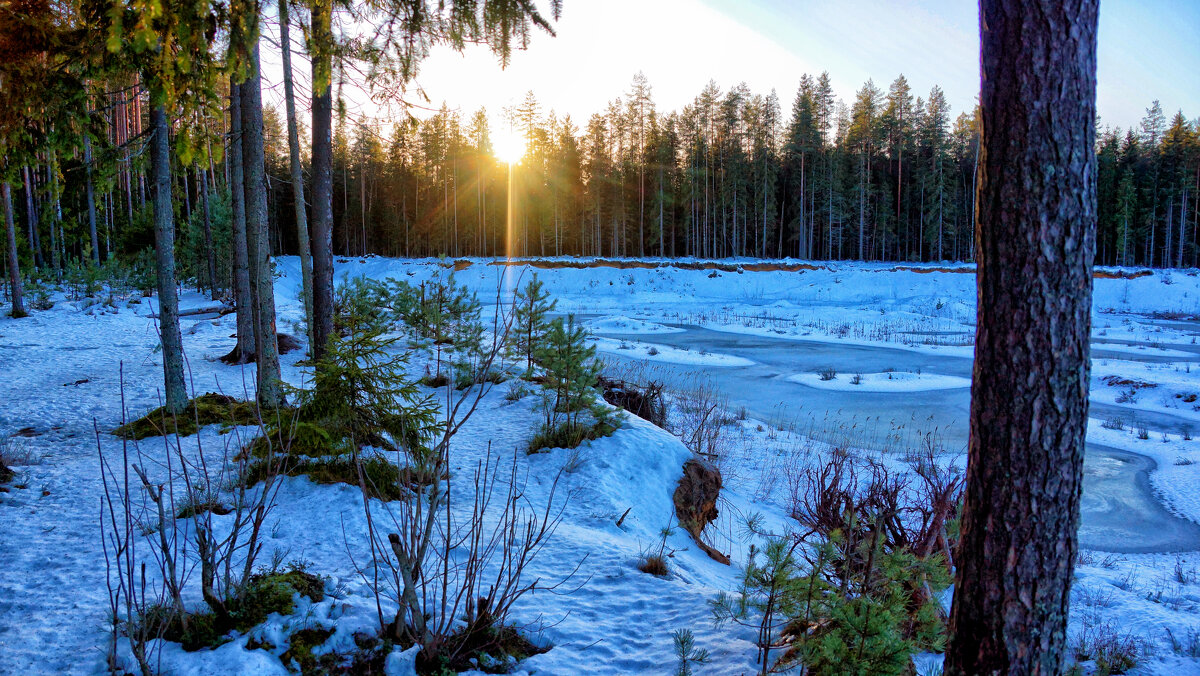 Морозное январское утро - Татьяна Маркова Морозное январское утро - Татьяна Маркова