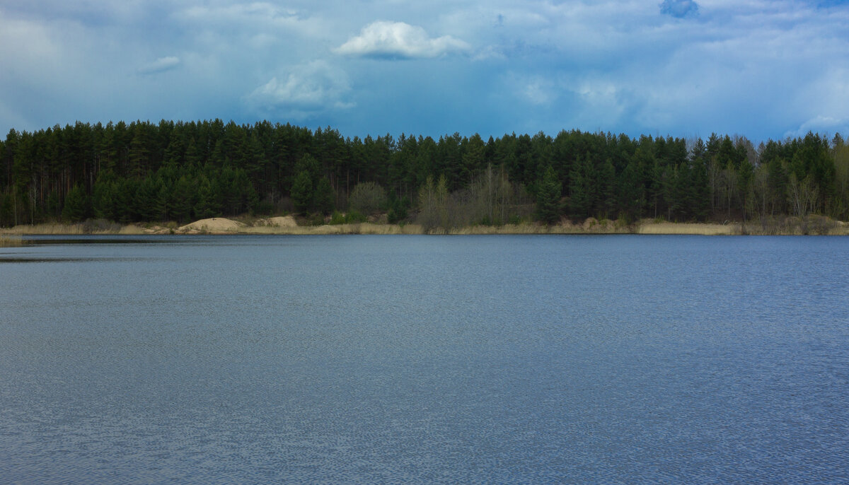 Small quarry near the forest in May | 27 - Sergey Sonvar