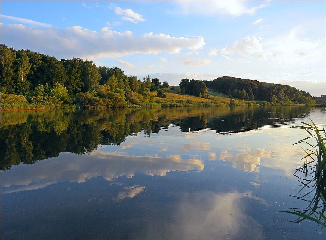 Белгородчина - Сеня Белгородский