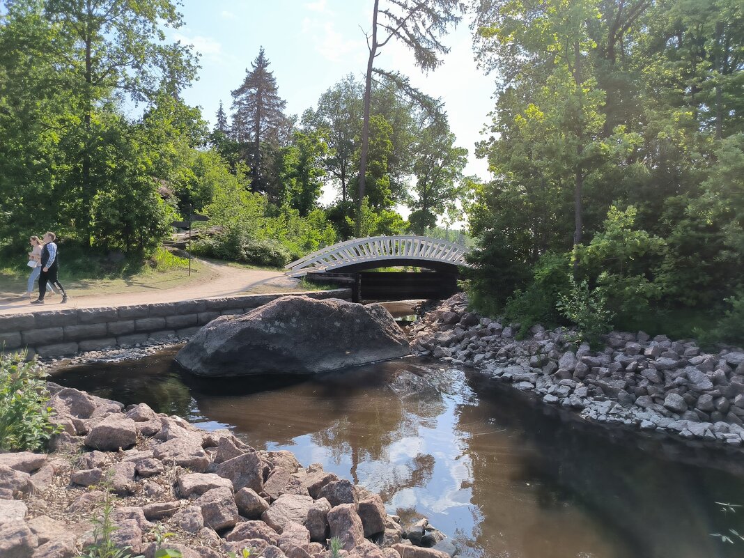 В парке Монрепо. - Ольга 