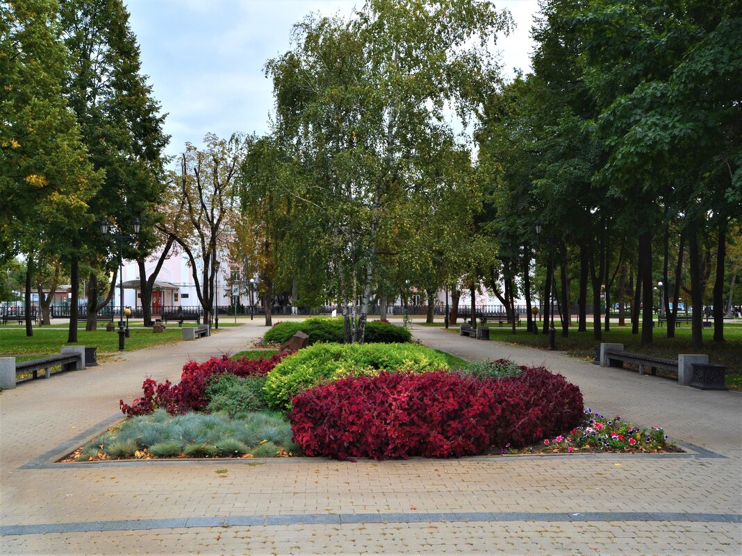 Краснодар. Клумба Екатерининского сквера. - Пётр Чернега Краснодар. Клумба Екатерининского сквера. - Пётр Чернега