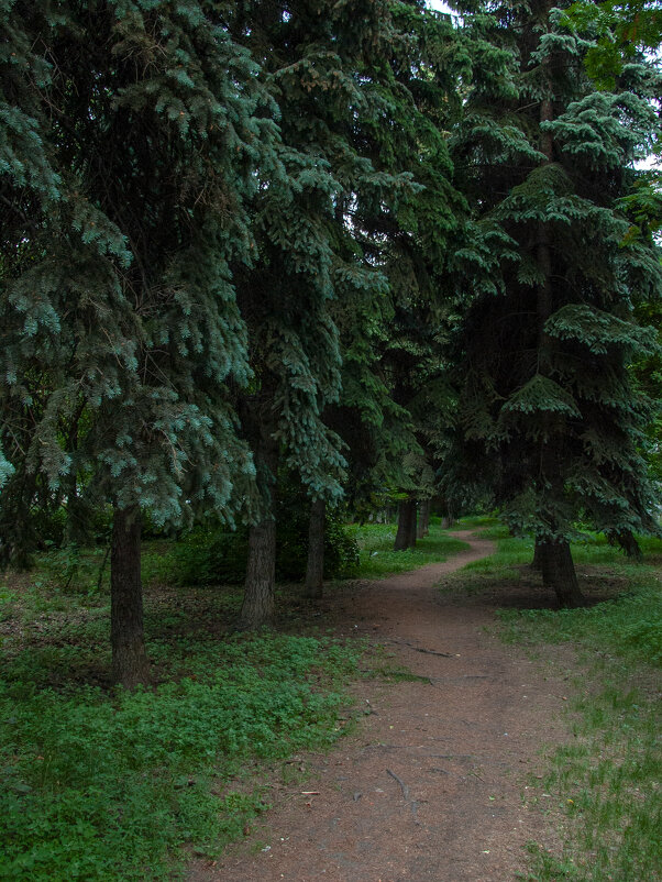 Городские тропинки. - Михаил Соколов