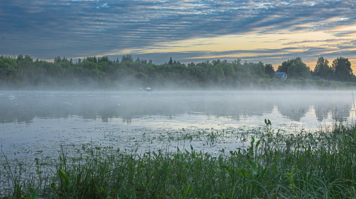 June morning near the Sukhona River | 6 - Sergey Sonvar