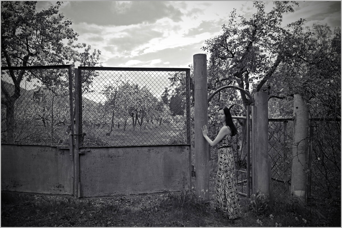 Железные ворота - Алексей Хвастунов Железные ворота - Алексей Хвастунов