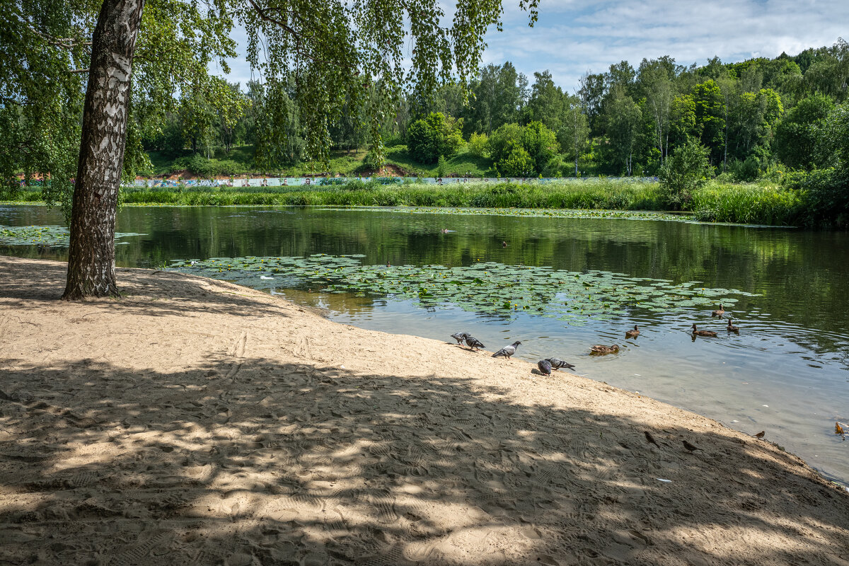 Банный день. - Михаил "Skipper" Банный день. - Михаил "Skipper"