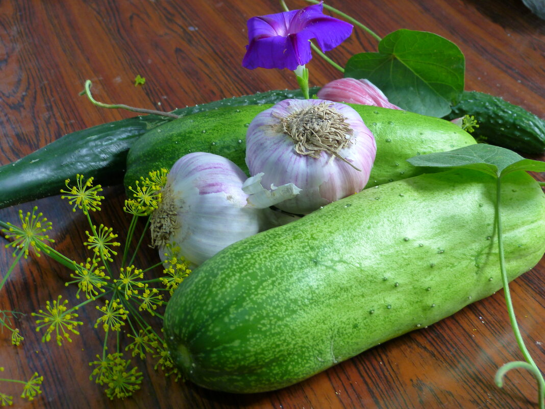 дары    лета - Николай 