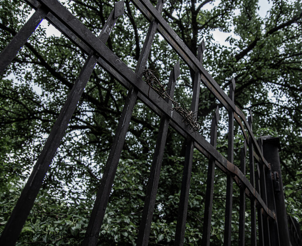 . - Илья Игоревич