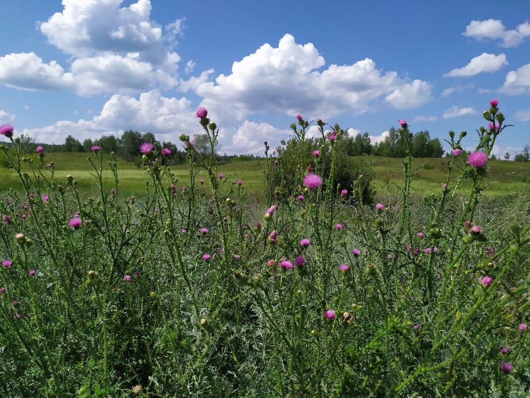 Пейзаж - Елена Елена Пейзаж - Елена Елена