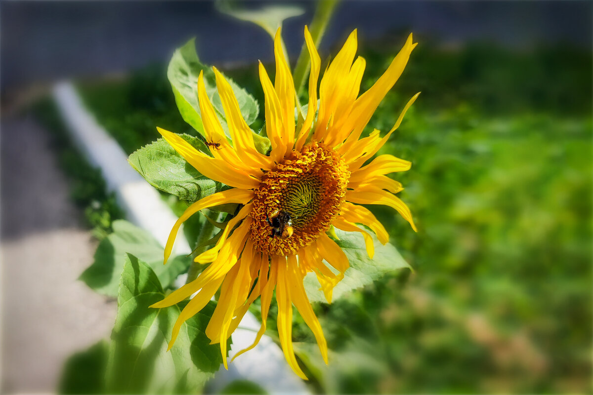 * - AZ east3 * - AZ east3