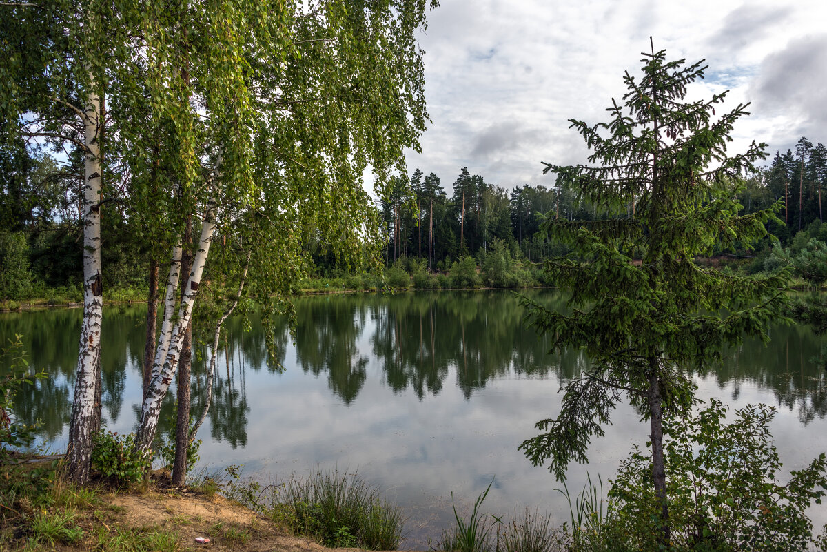 *** - Владимир Безбородов