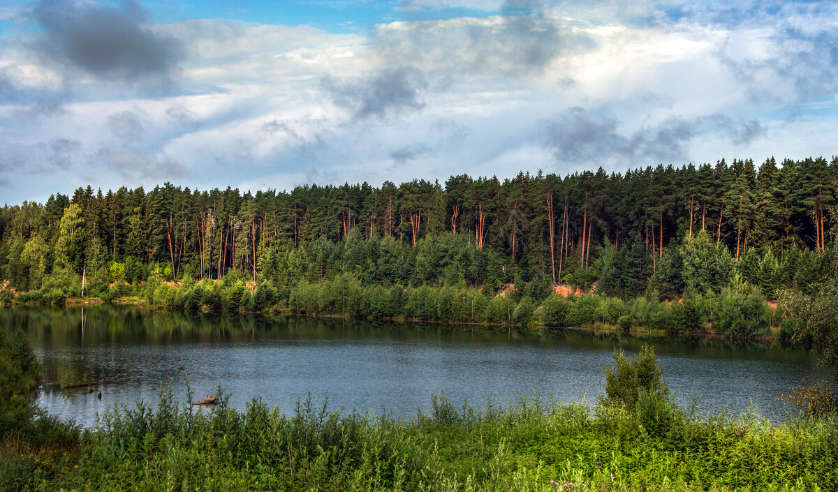 *** - Владимир Безбородов