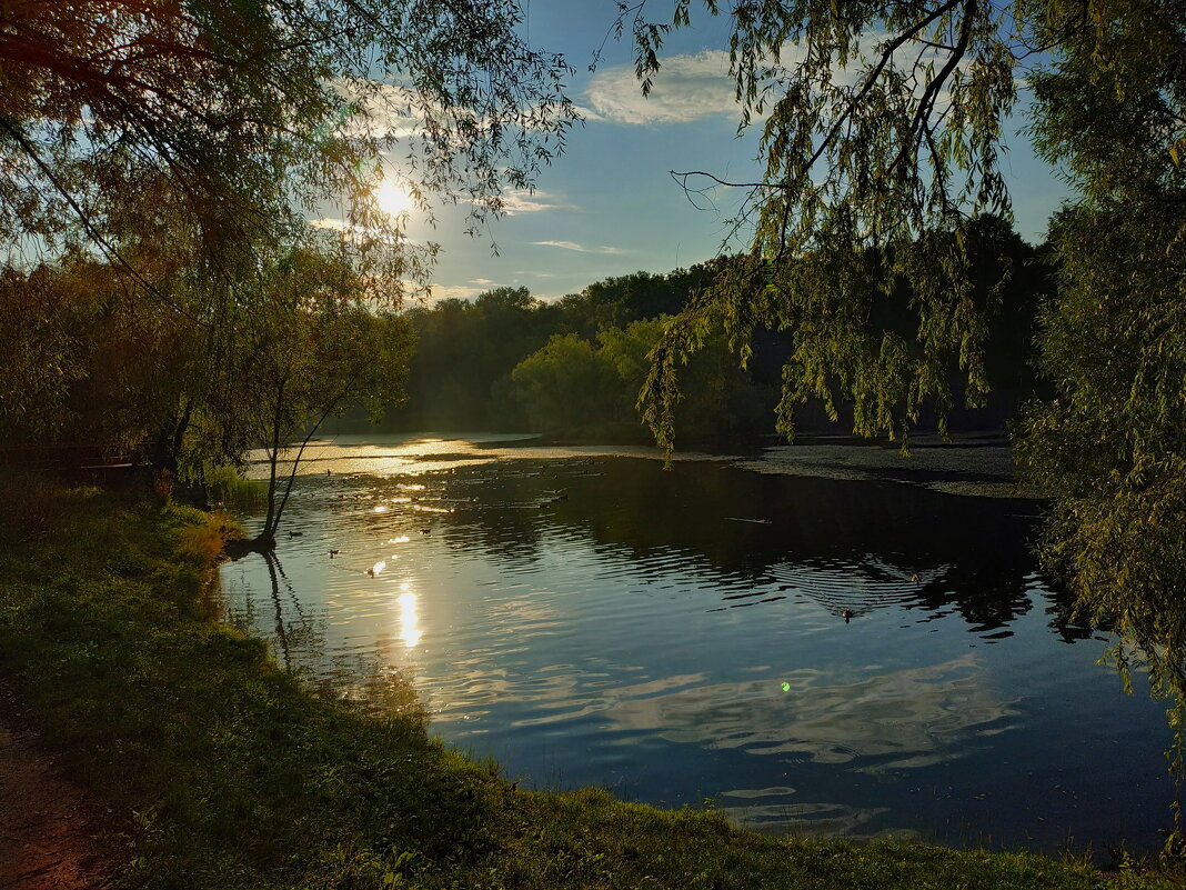 * * * - Андрей Лукьянов